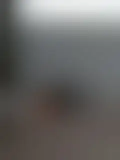 Konkurs haiku dla uczniów szkół podstawowych w Nysie – zgłoszenia do 30 lipca