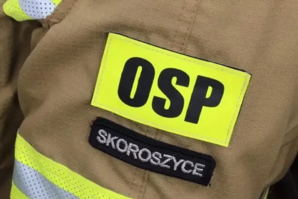 Usunięcie gniazda szerszeni w Mroczkowej – interwencja OSP Skoroszyce
