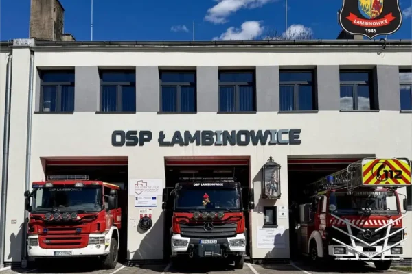 Strażacy usuwali powalone drzewo z jezdni na ulicy Mickiewicza
