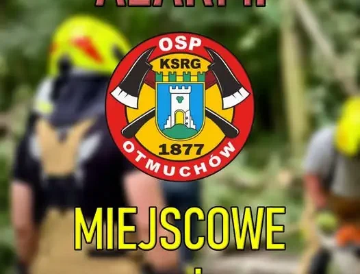 Powalone drzewo na ul. Mickiewicza w Otmuchowie – interwencja strażaków