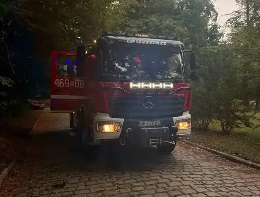 Powalone drzewo na ulicy Muzealnej – interwencja strażaków
