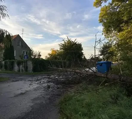 Usuwanie skutków wichury w gminie Pakosławice – interwencje OSP