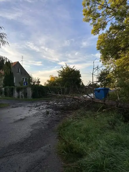 Usuwanie skutków wichury w gminie Pakosławice – interwencje OSP