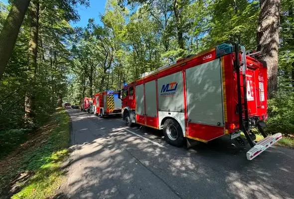 Wypadek w Korfantowie: samochód uderzył w drzewo na drodze wojewódzkiej 407