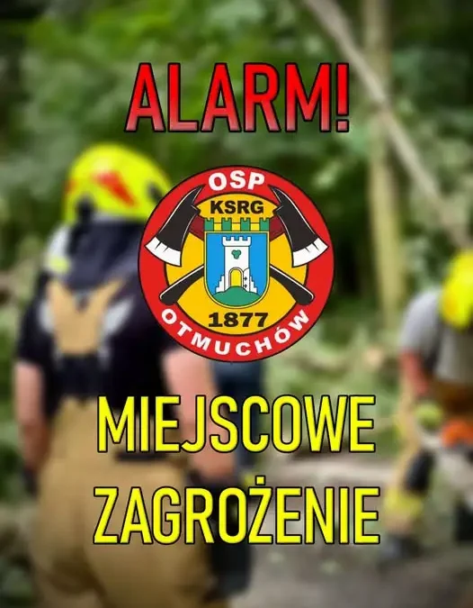 Powalone drzewo w Otmuchowie – interwencja strażaków