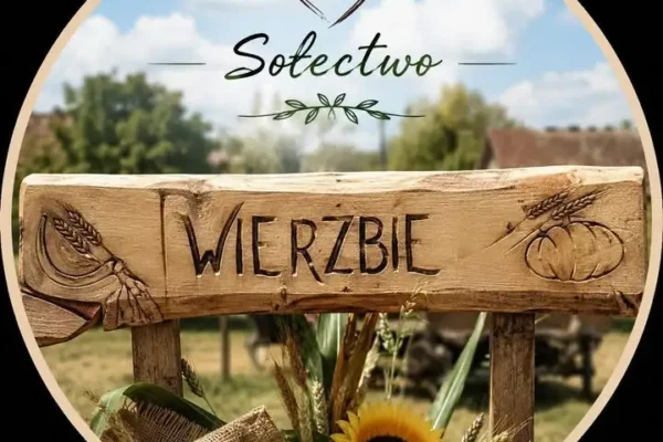 Łambinowice: Nashita Bellydance Group zaprasza na zajęcia tańca brzucha