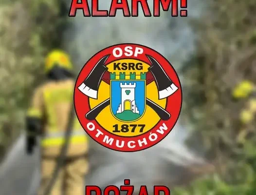 Pożar śmieci w Wierzbnie – akcja strażaków z Otmuchowa i okolic