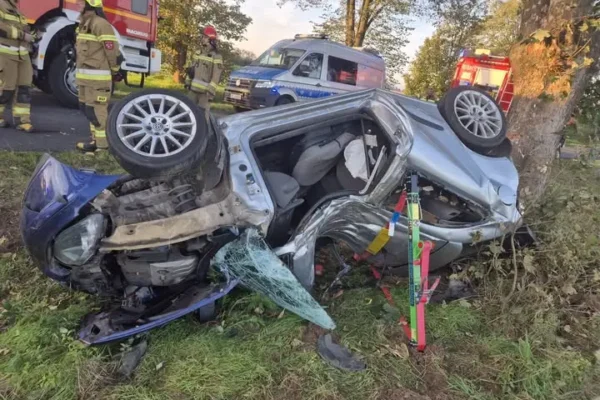 Śmiertelny wypadek na DW 407. Auto uderzyło w drzewo, kierowca nie przeżył