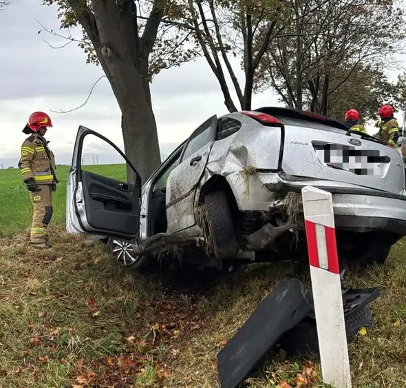 Pijany kierowca forda uderzył w drzewo na trasie Otmuchów–Głębinów