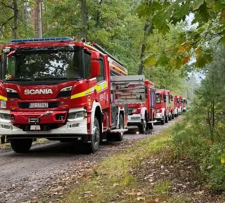 Druhowie z OSP Lambinowice na ćwiczeniach „Leśny Żywioł 2026” w borach niemodlińskich
