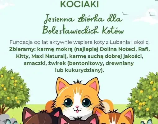 Jesienna zbiórka dla kotów z Lubania – przedszkolaki z Włosienia włączają się w pomoc