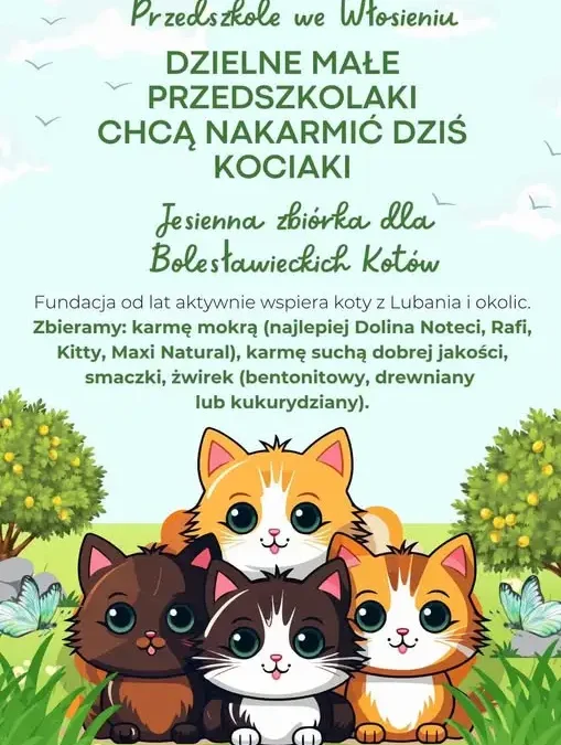 Jesienna zbiórka dla kotów z Lubania – przedszkolaki z Włosienia włączają się w pomoc