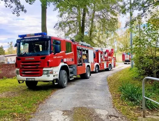 Powalone drzewo na liniach energetycznych w Gierałcicach – akcja strażaków