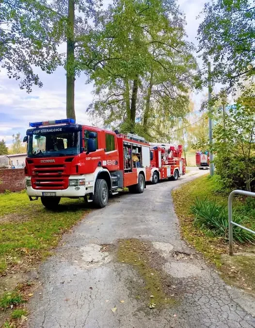 Powalone drzewo na liniach energetycznych w Gierałcicach – akcja strażaków