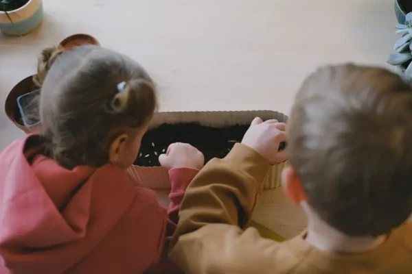 Przedszkolaki z Platerówki sadziły i siały w świetlicy gminnej